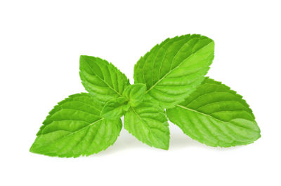 mint_leaves